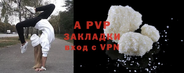 мдпв Каменка