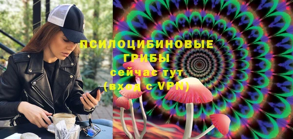 Альфа ПВП Касимов