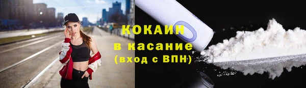 мдпв Каменка