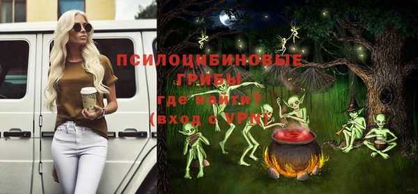 мдпв Каменка
