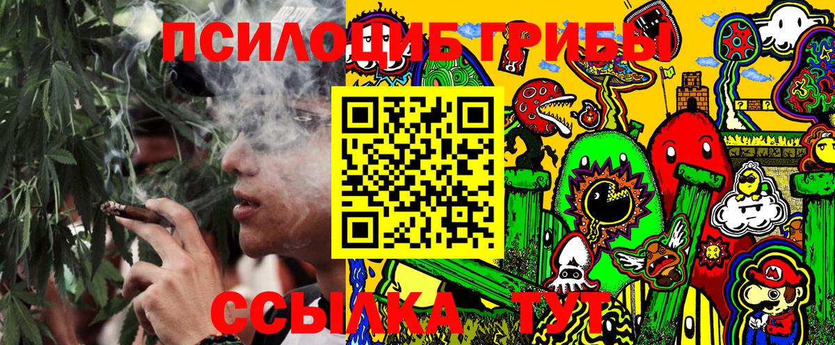 Псилоцибиновые грибы мухоморы  продажа наркотиков  Псилоцибиновые грибы Cubensis  Новотроицк  Вход с VPN 